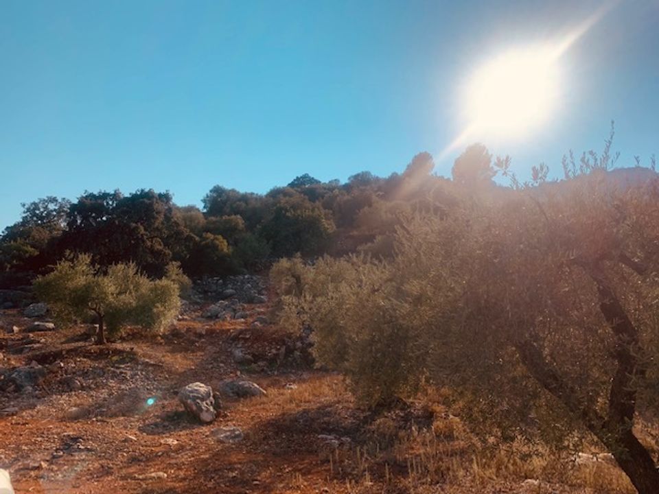 Helårsgrund i Comares, Malaga - foto 5